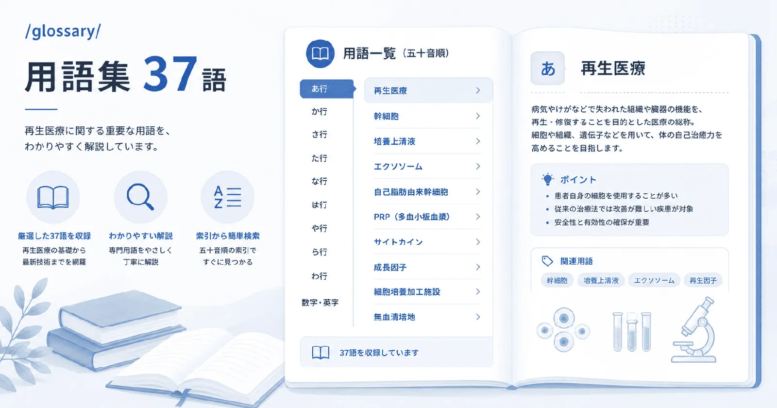再生医療・幹細胞治療の用語を、五十音の索引から選んで解説を読める用語集の画面イラスト